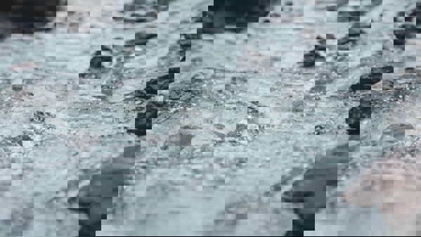 Spa 4 7.10.1